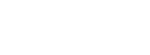 logo ivin